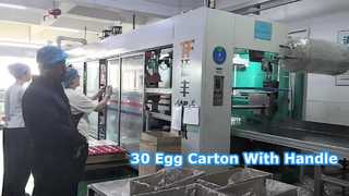 A Closer Look: Disposable 30 Holes Plastic Egg Cartons Lightweight Blister With Handle