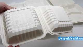 600ml Disposable Eco-Friendly Compostable Food Container Takeaway Packaging for Meals