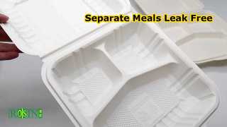 1000ml 3 Compartments PP Disposable Food Container Takeaway Lunch Box for Catering